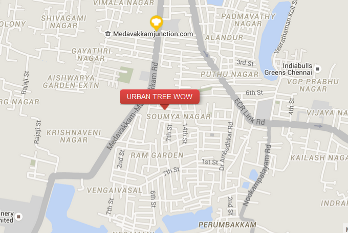 Urban Trees Homes Urban Tree Wow Location Map Image