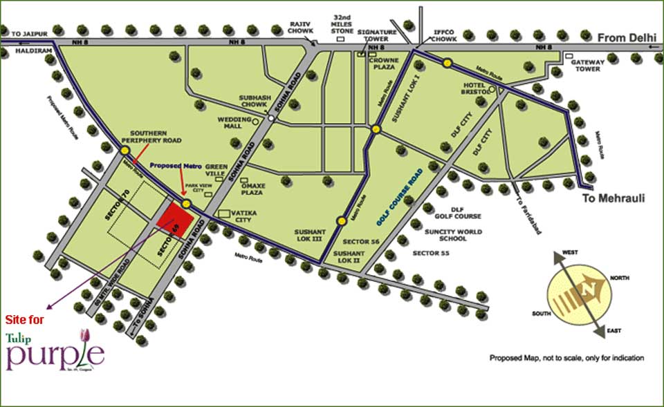 Tulip Purple Location Map Image