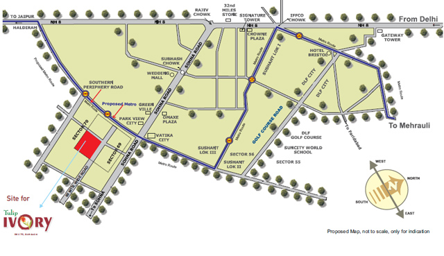 Tulip Ivory Location Map Image