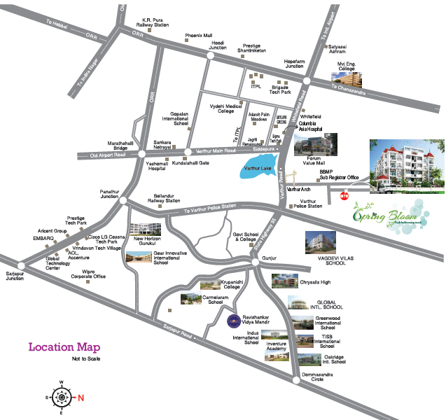  Spring Bloom Location Map Image