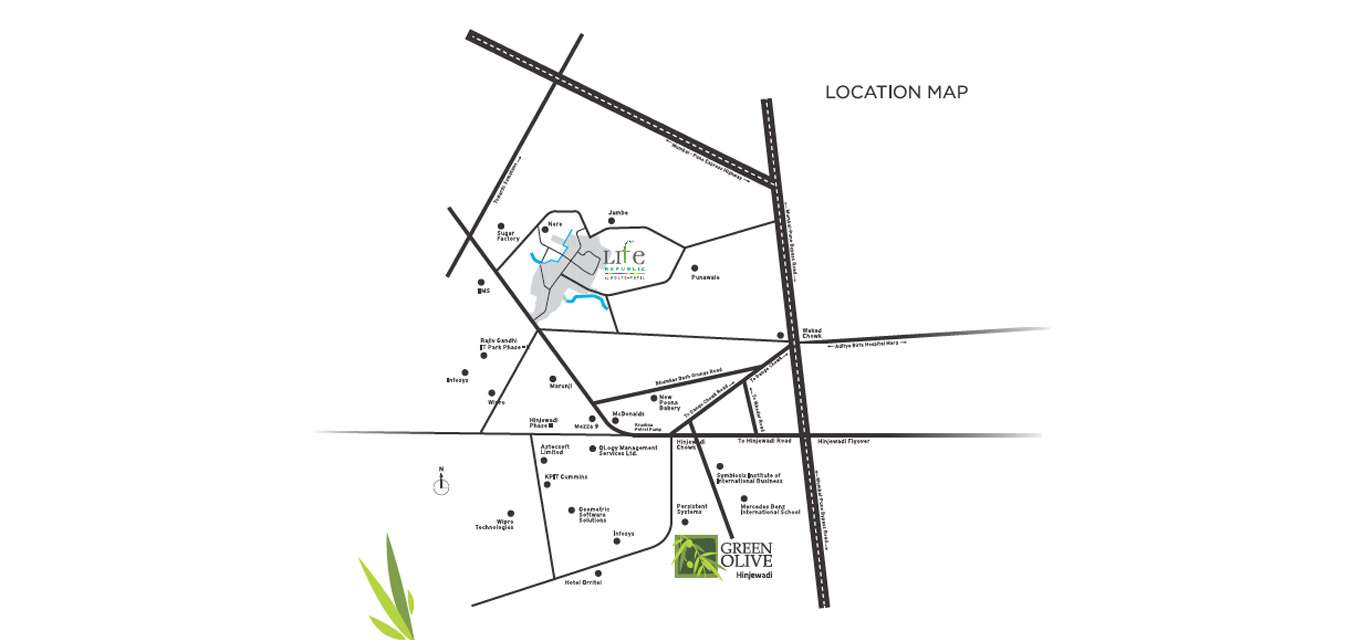 Green Olive Location Map Image