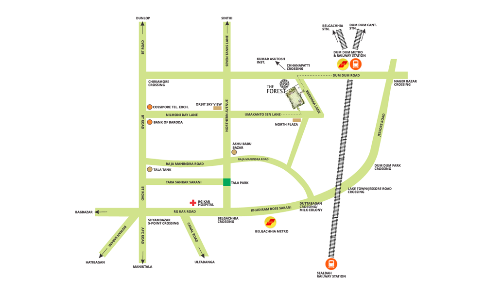 The Forest Location Map Image
