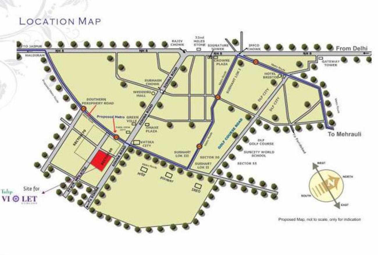 Tulip Violet Location Map Image
