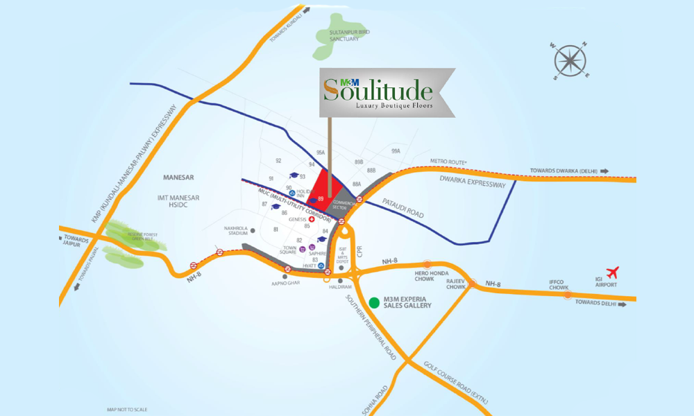 M3M Soulitude Location Map Image